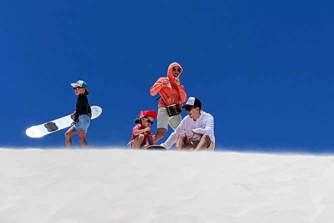 Pinnacles Desert Private Day Tour - Price and logistics: does $399.35 feel fair?