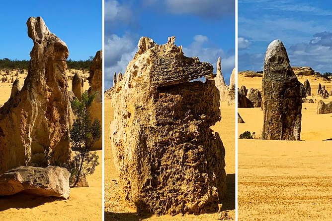 Pinnacles Desert Private Day Tour - Yanchep National Park stop: only if you want the kangaroo option