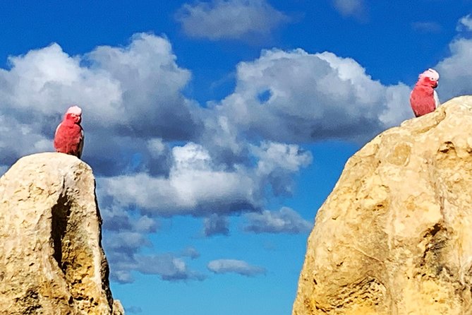 Pinnacles Desert Private Day Tour - Two Rocks: the quirky seaside pause between big sights