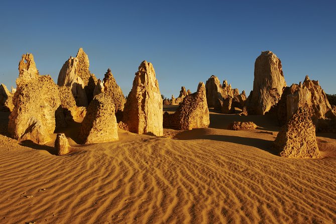Pinnacles Desert Private Tour - Key things you’ll appreciate on this Pinnacles Desert private tour