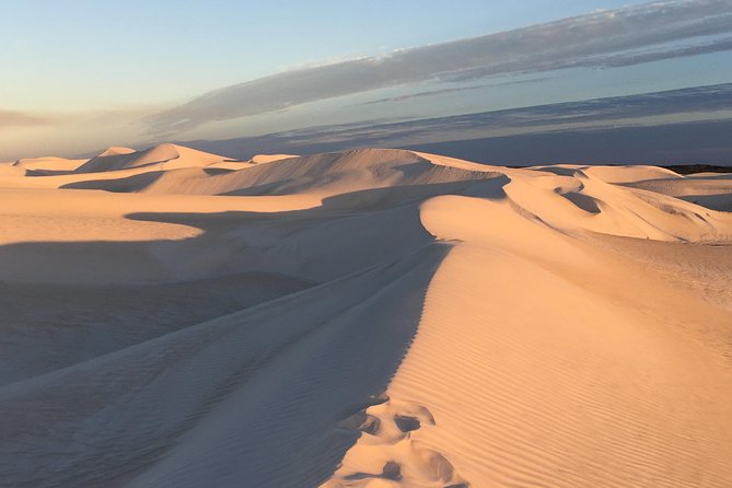 Pinnacles Desert Private Tour - Swan Valley chocolate and wine tastings: a palate break between coasts and sand