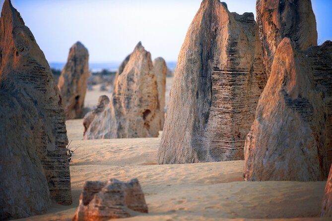 Pinnacles Desert, Yanchep and Swan Valley with Lunch - From Crown Perth at 8:00 am: easy pickup, long day energy