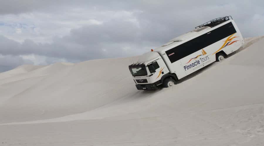 Pinnacles, Koalas & Sandboarding Tour Day Trip from Perth - Cervantes Lobster Processing Tour and Fish and Chips Lunch