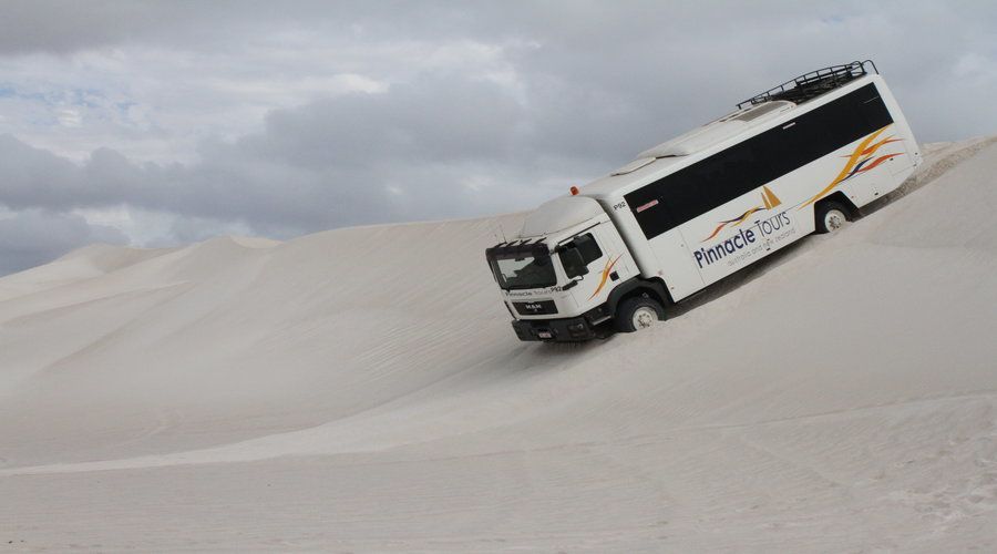 Pinnacles, Koalas & Sandboarding Tour Day Trip from Perth - Indian Ocean Drive Back to Perth: Why the Return Isn’t Just Transit