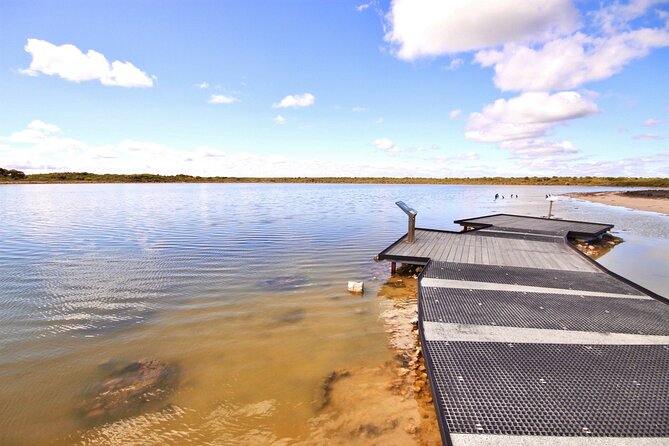Pinnacles Lobster Yanchep Small Group Day Tour from Perth - Yanchep Lavender Estate: lavender treats or chocolate breaks