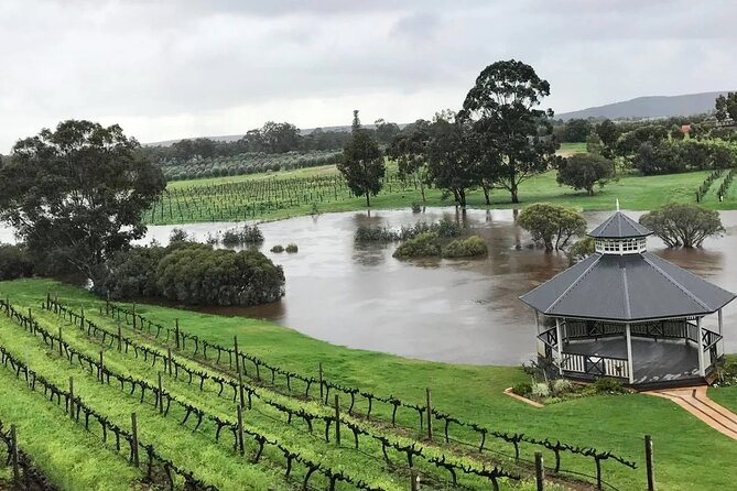 Private One Day Perth Tour - A Perth day built for views, food, and real breathing space