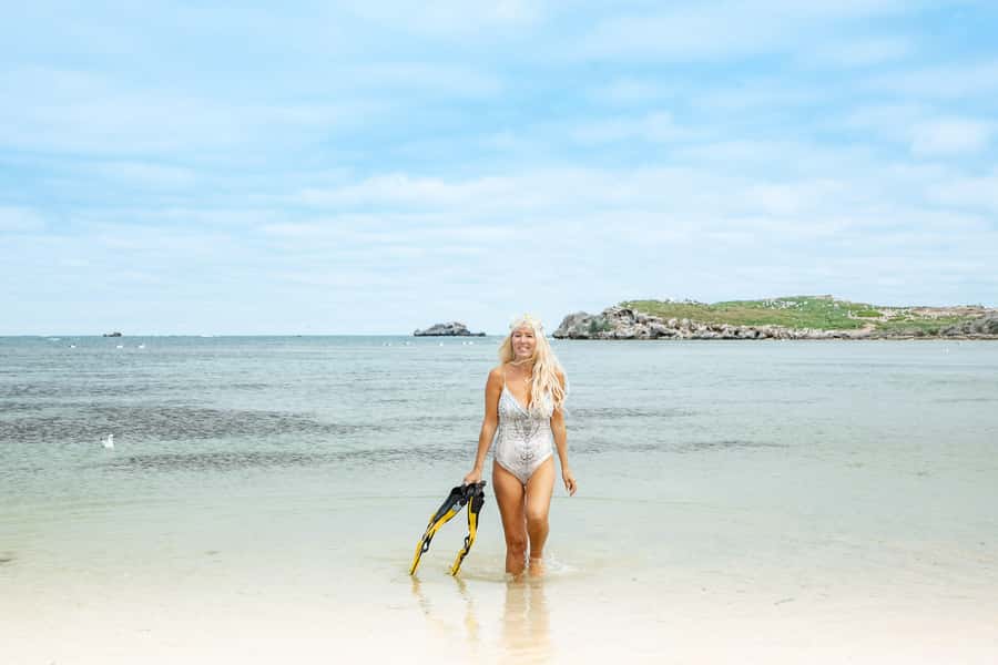 Rockingham: Shoalwater Islands, Dolphins, and Sea Lions Tour - Penguin Island time: what you might be able to do on land