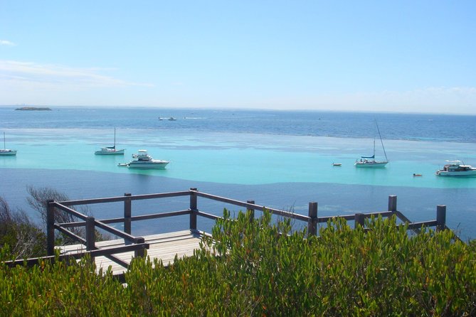 Rottnest Bayseeker Bus Tour from Hillarys Boat Harbour - From Hillarys Boat Harbour to Rottnest: the big idea