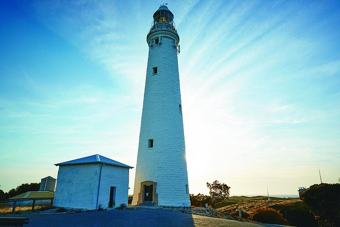 Rottnest Bayseeker Bus Tour from Hillarys Boat Harbour - The fast ferry crossing: fast, scenic, and sometimes bouncy