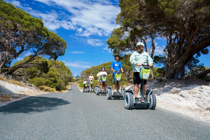 Rottnest Coastal Explorer Tour - At a glance: the highlights you’ll care about