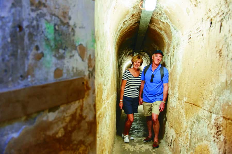 Rottnest Grand Island Package with Ferry, Tour & Light Lunch - Key highlights you’ll care about