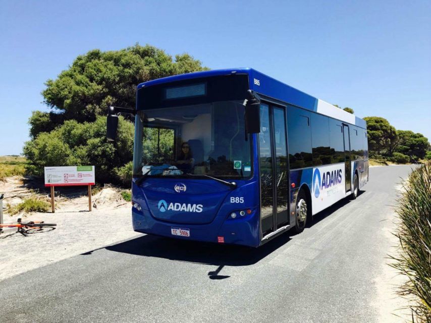 Rottnest Grand Island Package with Ferry, Tour & Light Lunch - Oliver Hill gun fortification and tunnel tour: the part people remember