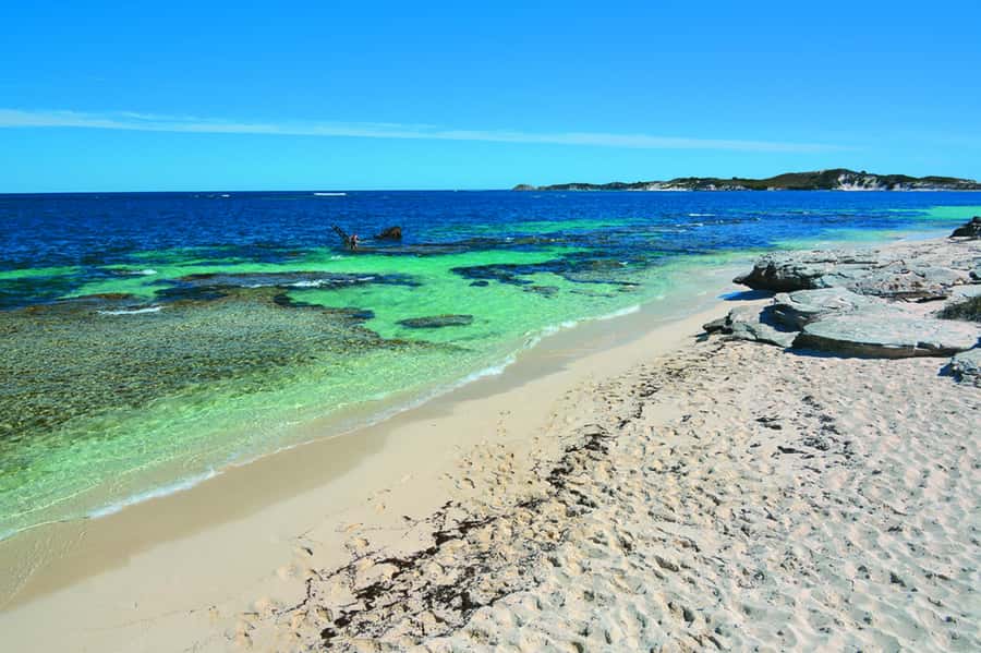 Rottnest Grand Island Package with Ferry, Tour & Light Lunch - Lunch on Rottnest: light, timed, and useful for a long day