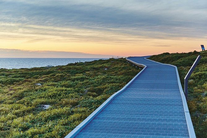 Rottnest Island Bayseeker Day Trip from Fremantle - Why Rottnest from Fremantle feels like a smart one-day escape