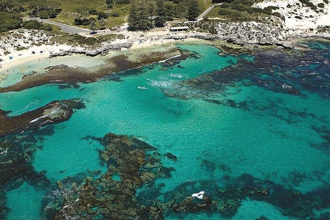 Rottnest Island Bayseeker Day Trip from Fremantle - Price and value: is $100.77 actually fair?