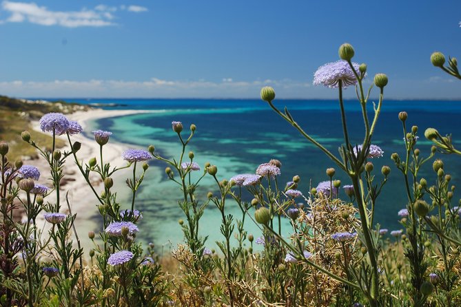 Rottnest Island Bayseeker Tour - Rottnest Island by Bus: Why the Bayseeker Route Works