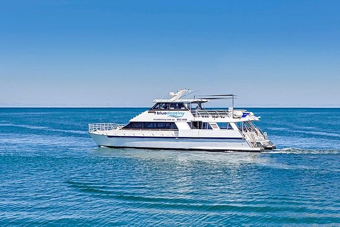 Rottnest Island Boat Dive Day Trip including Lunch - Key things that make this trip worth your time