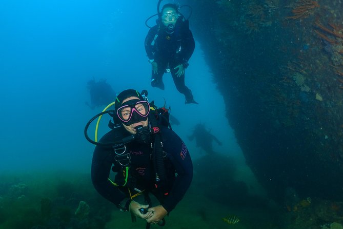Rottnest Island Deep Dive Day Trips - Snorkellers and day-trippers: why sharing the boat can be a win