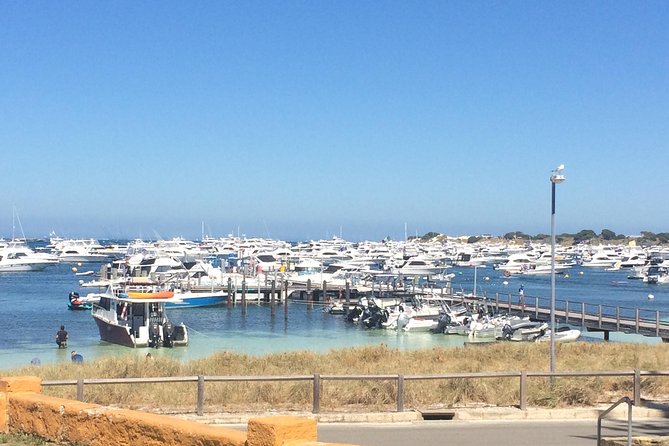 Rottnest Island ECO E Bike Tour - Price and value: what $69.54 gets you (and what it doesn’t)