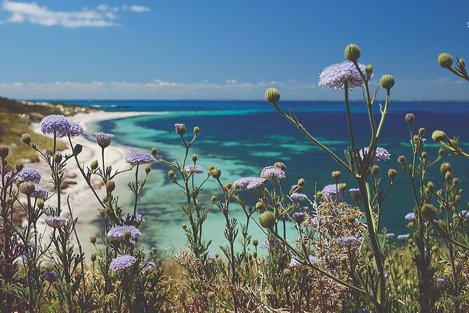 Rottnest Island Full-Day Trip With Guided Island Tour From Perth - Key points before you go