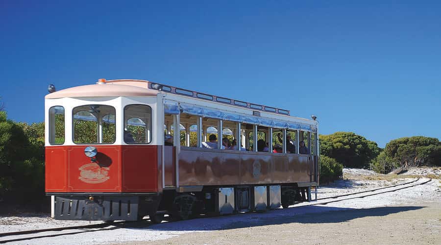 Rottnest Island: Grand Bus and Train Tour with Lunch - Meeting at Settlement Railway Station: your first time-saver