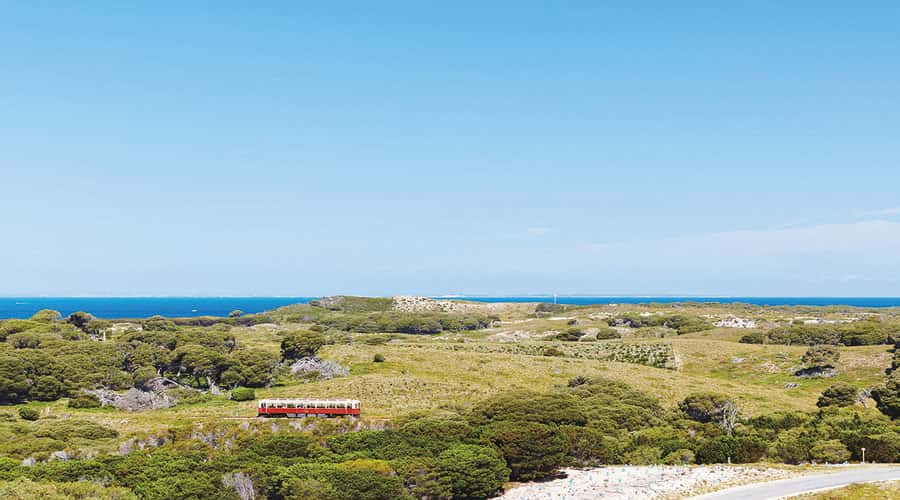 Rottnest Island: Grand Bus and Train Tour with Lunch - Who this tour suits best (and who may want a different plan)