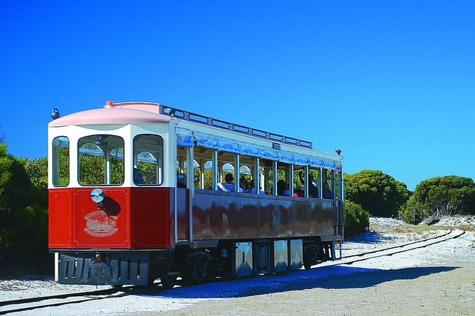 Rottnest Island Grand Tour Including Lunch and Historical Train Ride - Meeting at the island rail station and how the timing feels in real life