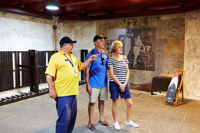 Rottnest Island Historical Train and Tunnel Tour from Hillarys Boat Harbour - Rottnest Island’s best twist: WWII tunnels, not just a quick look