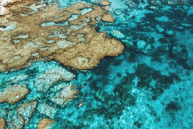 Rottnest Island Round Trip Ferry from Fremantle - Key highlights you’ll feel right away