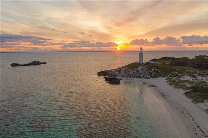 Rottnest Island Round Trip Ferry from Fremantle - Quokkas and viewpoints: how to get the best wildlife moments