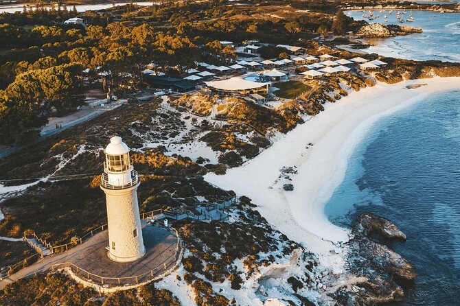 Rottnest Island Round-Trip Ferry from Perth - Quokkas and fur seals: wildlife viewing that doesn’t require special skills