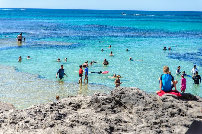 Rottnest Island Roundtrip Fast Ferry from Hillarys Boat Harbour - Fast ferry from Hillarys: how you actually save vacation time