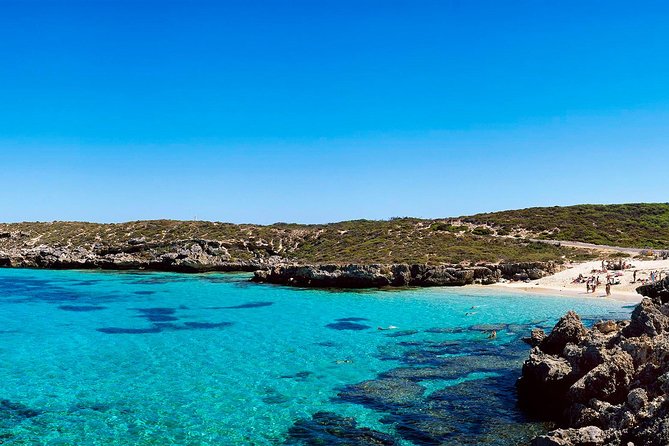 Rottnest Island Roundtrip Fast Ferry from Hillarys Boat Harbour - Ferry comfort and sea conditions: what to do if you get motion sickness