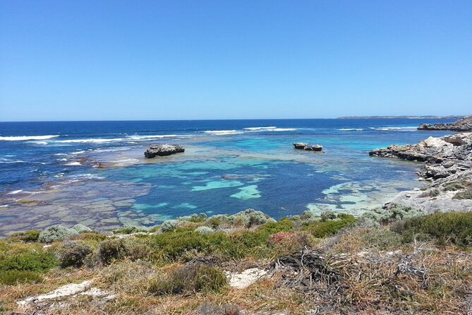Rottnest Island Scenic Flight or 1/2 Day stopover - Rottnest Island Time: Making the Most of Your Half-Day