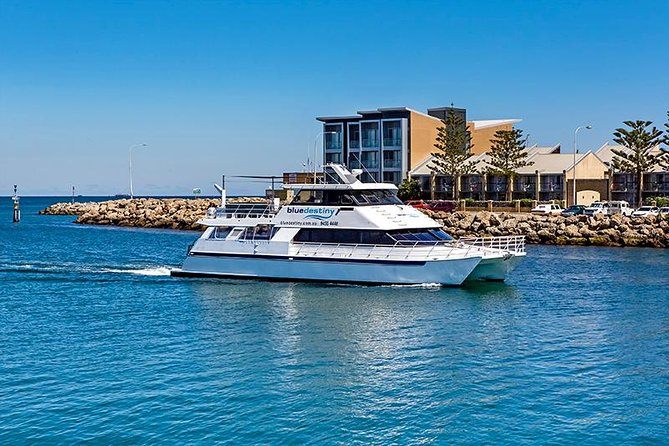 Rottnest Island scuba dive tour - Key Highlights You’ll Actually Care About
