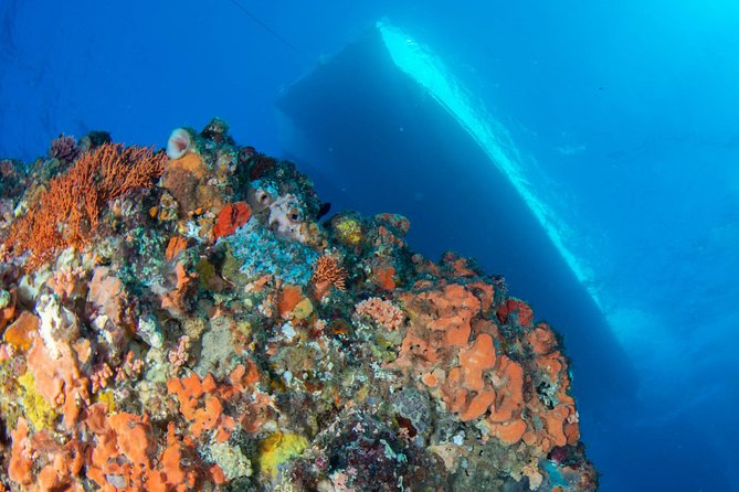 Rottnest Island scuba dive tour - Rottnest Island Looks Better When You’re Not Sitting on Land