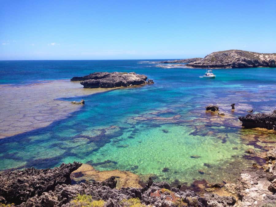 Rottnest Island Segway 1-Hour Settlement Tour - The coastline stops you’ll remember: Bickley Bay and Bathurst Lighthouse