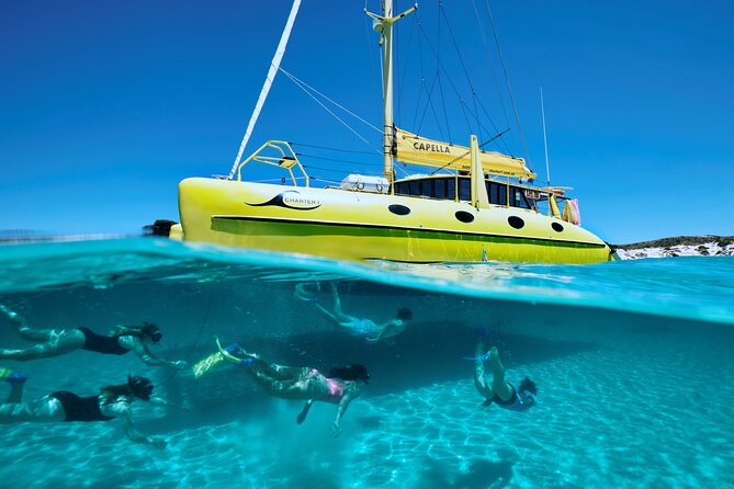 Rottnest Island 'Snorkel and Sail' - Snorkeling spots and marine life you can realistically expect