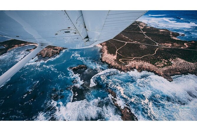Rottnest Island Transfer Flights - by Plane - Rottnest Island time: beaches, lunch, and spotting quokkas