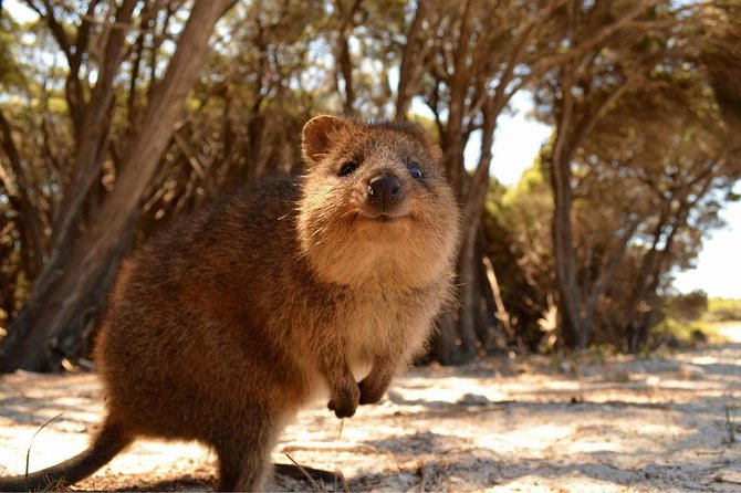 Rottnest Island Transfer Flights - by Plane - Perth to Rottnest from the air: what the views are really for