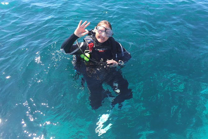 Scuba Dive The Beautiful Rottnest Island for Certified divers - What You’ll See Around Rottnest: Reefs, Limestone Caves, and Swim-Throughs