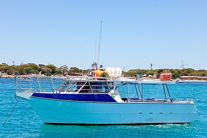 Scuba Dive The Beautiful Rottnest Island for Certified divers - What’s Included That Actually Helps: Gear Check, Snacks, Shower, and Lunch