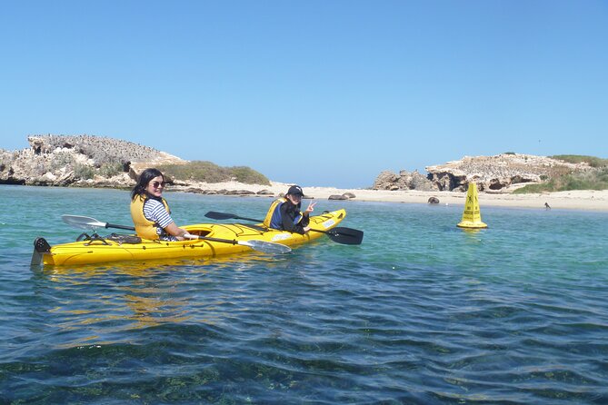 Seal Island and Penguin Island or Point Peron Sea Kayak Tour - Wildlife watching in Shoalwater Bay Marine Park