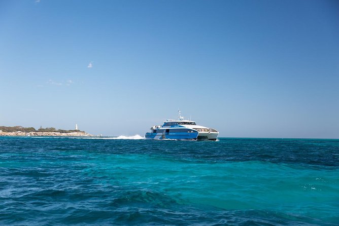 Sealink Bike & Ferry Package from Perth to Rottnest - Practical Tips That Make the Day Feel Easier