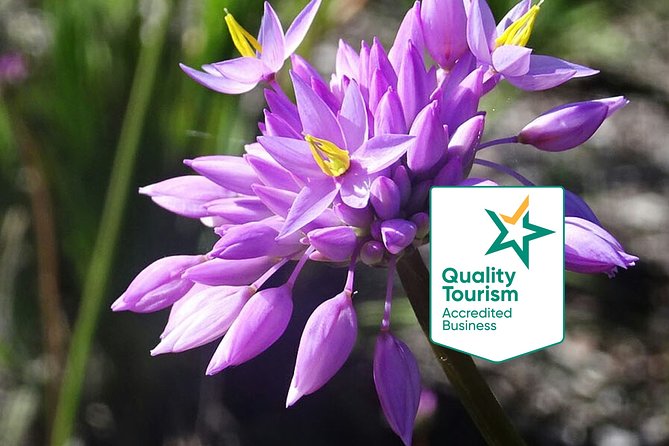 Spring Wildflower Private Day Tours - Key highlights worth booking