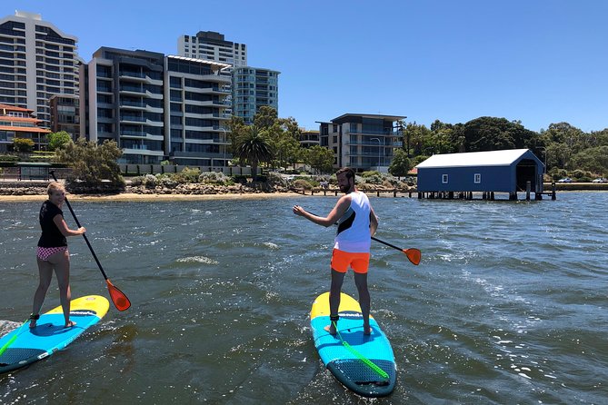 Stand Up Paddle Board Hire - Perth’s Swan River SUP: a one-hour taste for most ages