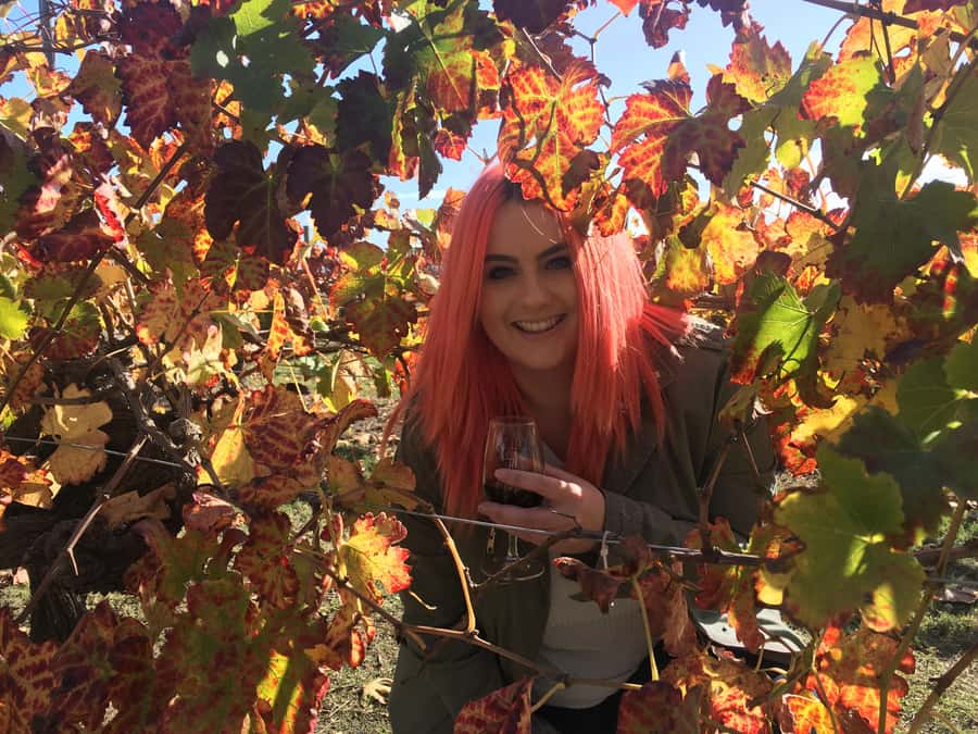 Swan Valley Full-Day Winery Experience with Lunch from Perth - Chocolate Company: the sweet payoff you’ll remember