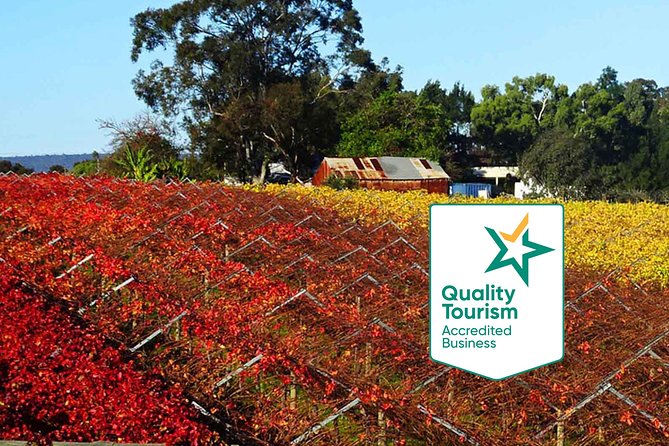 Swan Valley Region Private Day Tours - Key highlights worth planning around
