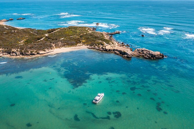 Swim with Wild Dolphins Day Tour - Price and value for $214.46 per person