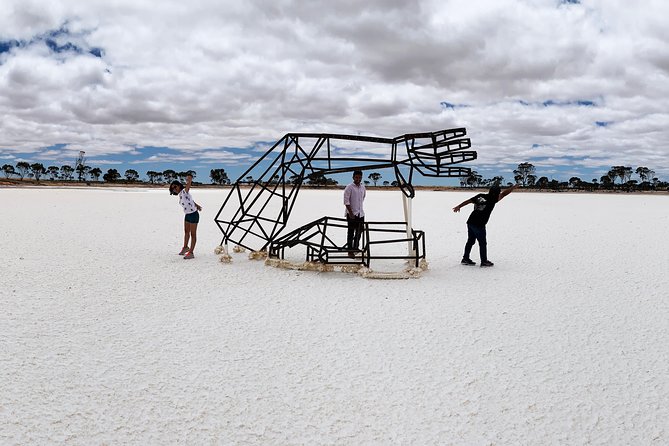 The Big Wave Rock Private Day Tour - Tin Horse Highway: the quirky roadside detour that makes the day fun